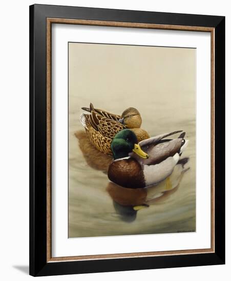 Mallard-Harro Maass-Framed Giclee Print