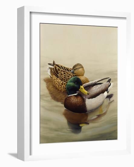 Mallard-Harro Maass-Framed Giclee Print