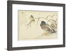 Mallards and a Kingfisher, 1790-Kitagawa Utamaro-Framed Giclee Print