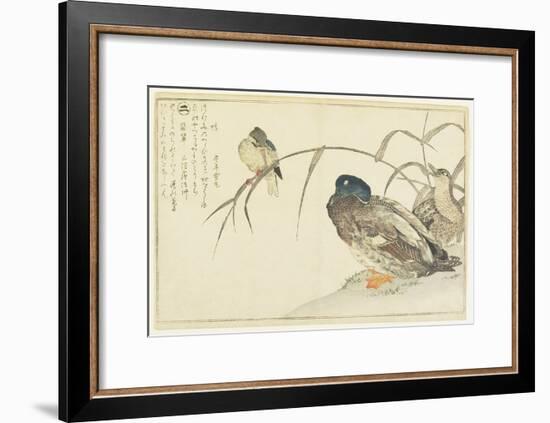 Mallards and a Kingfisher, 1790-Kitagawa Utamaro-Framed Giclee Print