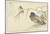 Mallards and a Kingfisher, 1790-Kitagawa Utamaro-Mounted Giclee Print