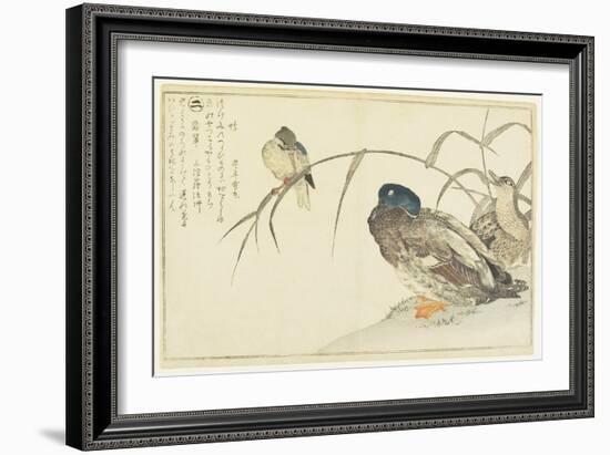 Mallards and a Kingfisher, 1790-Kitagawa Utamaro-Framed Giclee Print