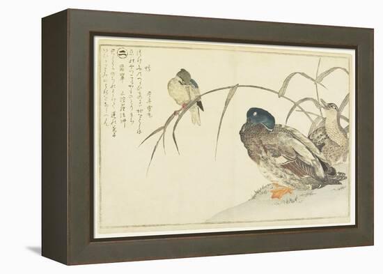 Mallards and a Kingfisher, 1790-Kitagawa Utamaro-Framed Premier Image Canvas