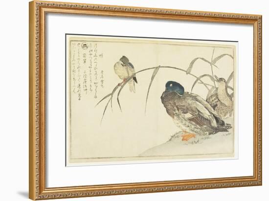 Mallards and a Kingfisher, 1790-Kitagawa Utamaro-Framed Giclee Print