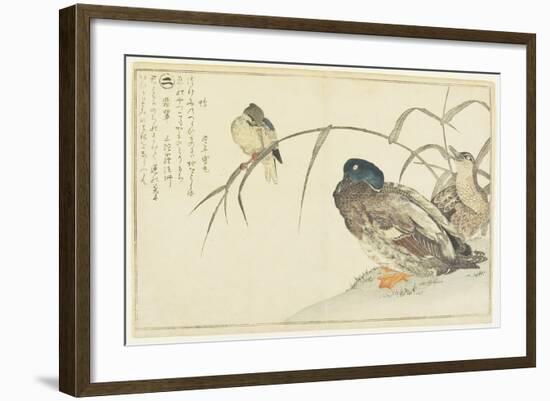 Mallards and a Kingfisher, 1790-Kitagawa Utamaro-Framed Giclee Print