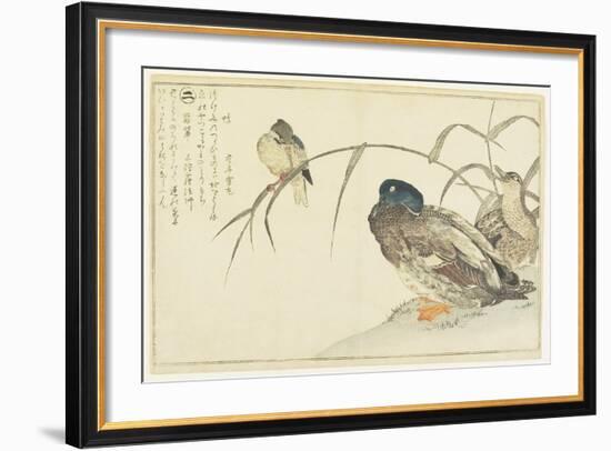 Mallards and a Kingfisher, 1790-Kitagawa Utamaro-Framed Giclee Print