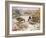 Mallards in a Quiet Corner-Carl Donner-Framed Giclee Print