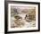 Mallards in a Quiet Corner-Carl Donner-Framed Giclee Print