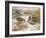 Mallards in a Quiet Corner-Carl Donner-Framed Giclee Print