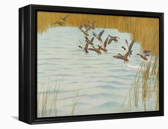 Mallards in Autumn, 1941 (Oil on Canvas)-Newell Convers Wyeth-Framed Premier Image Canvas