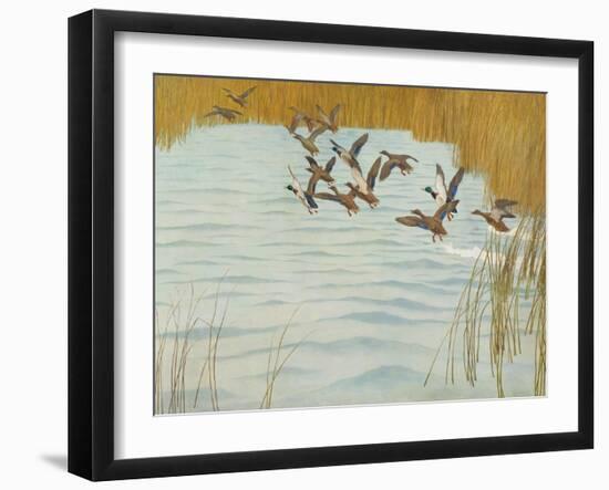 Mallards in Autumn, 1941 (Oil on Canvas)-Newell Convers Wyeth-Framed Giclee Print