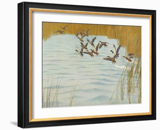 Mallards in Autumn, 1941 (Oil on Canvas)-Newell Convers Wyeth-Framed Giclee Print