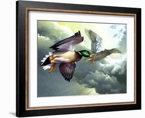 Mallards in Flight-Spencer Williams-Framed Giclee Print