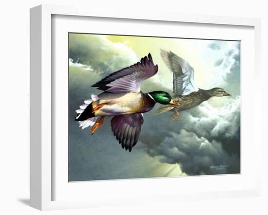 Mallards in Flight-Spencer Williams-Framed Giclee Print