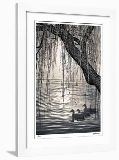Mallards-Donald Satterlee-Framed Giclee Print