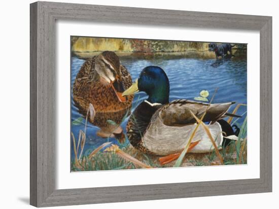 Mallards-Rusty Frentner-Framed Giclee Print