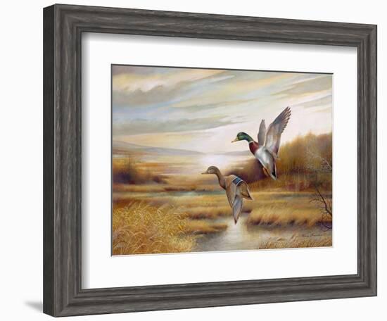 Mallards-Ruane Manning-Framed Art Print