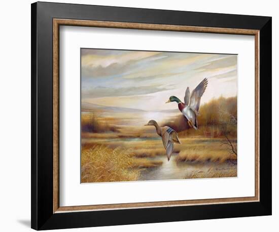 Mallards-Ruane Manning-Framed Art Print