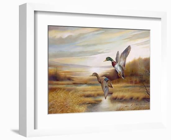 Mallards-Ruane Manning-Framed Art Print