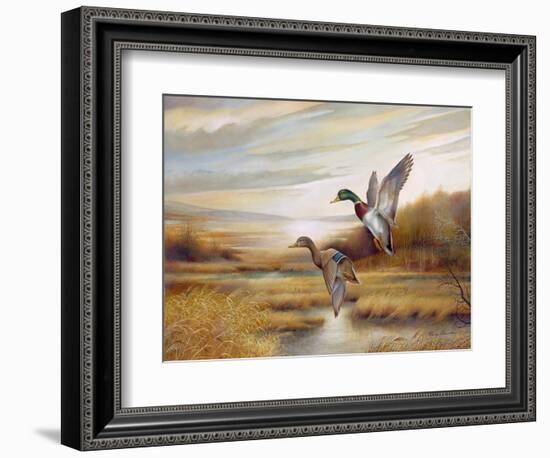 Mallards-Ruane Manning-Framed Art Print