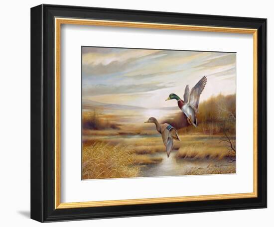 Mallards-Ruane Manning-Framed Art Print