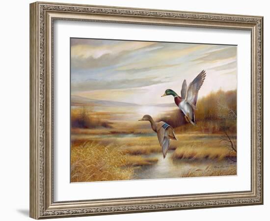 Mallards-Ruane Manning-Framed Art Print