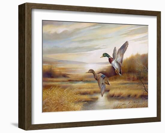 Mallards-Ruane Manning-Framed Art Print