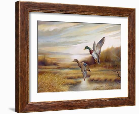 Mallards-Ruane Manning-Framed Art Print