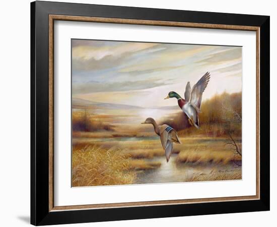 Mallards-Ruane Manning-Framed Art Print