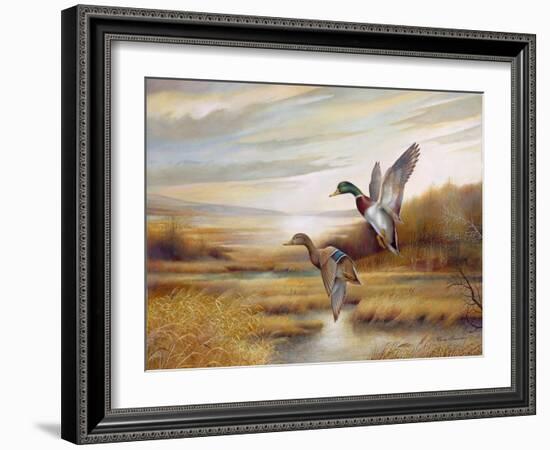 Mallards-Ruane Manning-Framed Art Print