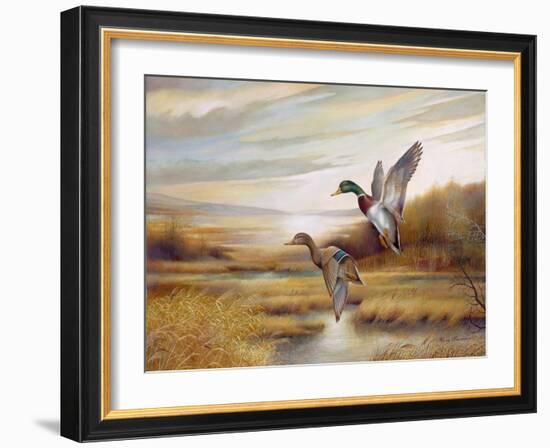 Mallards-Ruane Manning-Framed Art Print