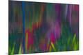 Premium Photographic Print