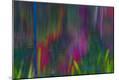 Premium Photographic Print