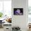 Mallow, Malva, blossom, mauve, close-up-David & Micha Sheldon-Framed Premier Image Canvas displayed on a wall