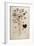 Mallow (Malva Sylvestris Elatior) by Leonhart Fuchs from De Historia Stirpium Commentarii Insignes-null-Framed Giclee Print