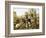 Malmesbury Market-H.C. Bryant-Framed Giclee Print