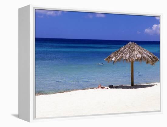 Malmok Beach, Aruba, Netherlands Antilles-Michael DeFreitas-Framed Premier Image Canvas