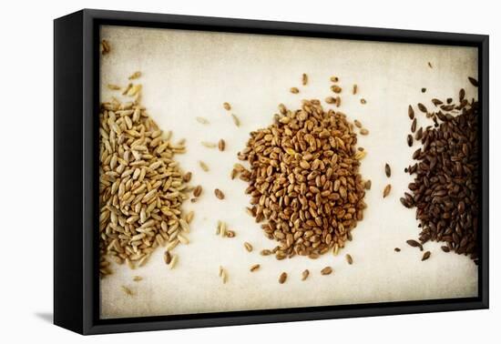 Malt Varieties-Jessica Rogers-Framed Premier Image Canvas