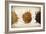 Malt Varieties-Jessica Rogers-Framed Giclee Print