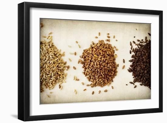 Malt Varieties-Jessica Rogers-Framed Giclee Print