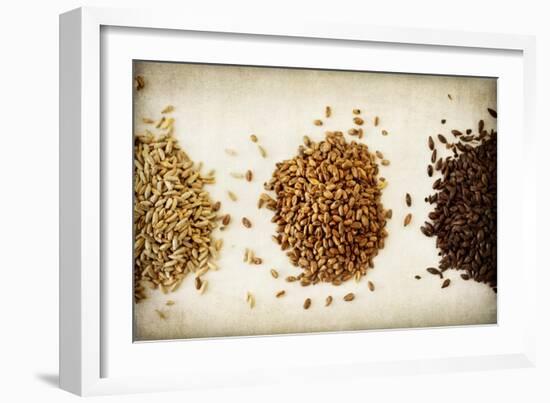 Malt Varieties-Jessica Rogers-Framed Giclee Print