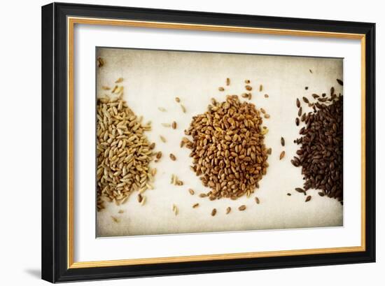 Malt Varieties-Jessica Rogers-Framed Giclee Print