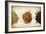 Malt Varieties-Jessica Rogers-Framed Giclee Print