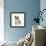 Maltese Cross Shih-Tzu Pup, Leo, 13 Weeks Old, Sitting-Mark Taylor-Framed Photographic Print displayed on a wall