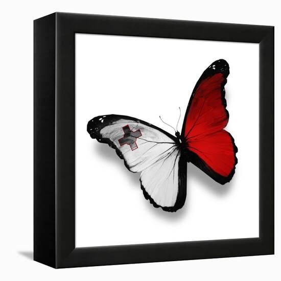 Maltese Flag Butterfly, Isolated On White-suns_luck-Framed Stretched Canvas