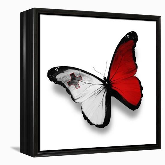 Maltese Flag Butterfly, Isolated On White-suns_luck-Framed Stretched Canvas