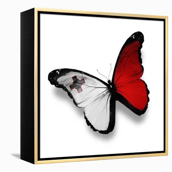 Maltese Flag Butterfly, Isolated On White-suns_luck-Framed Stretched Canvas