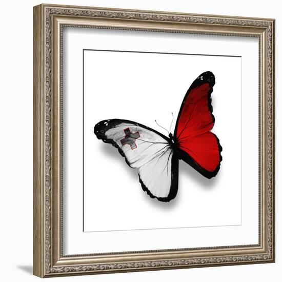 Maltese Flag Butterfly, Isolated On White-suns_luck-Framed Art Print