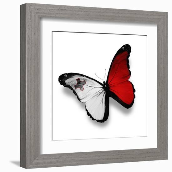 Maltese Flag Butterfly, Isolated On White-suns_luck-Framed Art Print