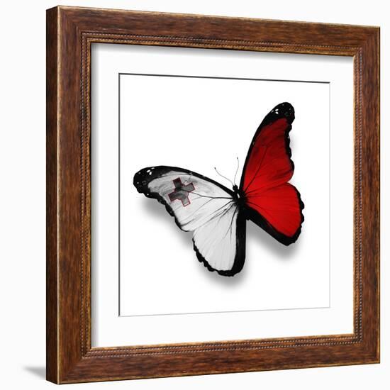 Maltese Flag Butterfly, Isolated On White-suns_luck-Framed Art Print